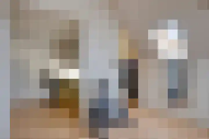 Trompstraat 9 Kloosterzande thumbnail 27