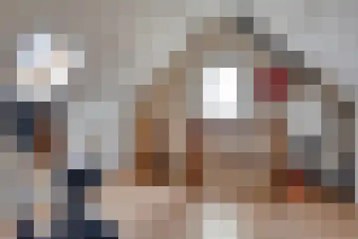 Trompstraat 9 Kloosterzande thumbnail 28