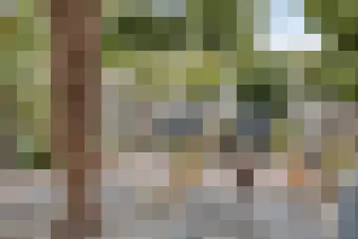 Trompstraat 9 Kloosterzande thumbnail 30