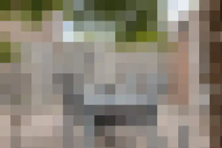 Trompstraat 9 Kloosterzande thumbnail 31