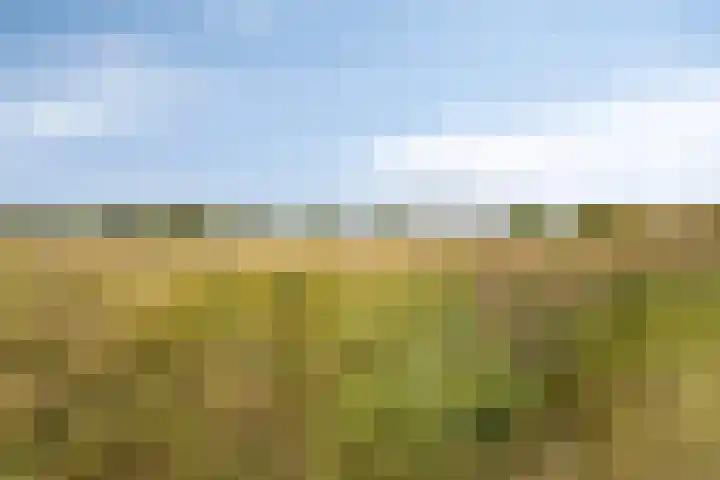 Trompstraat 9 Kloosterzande thumbnail 32