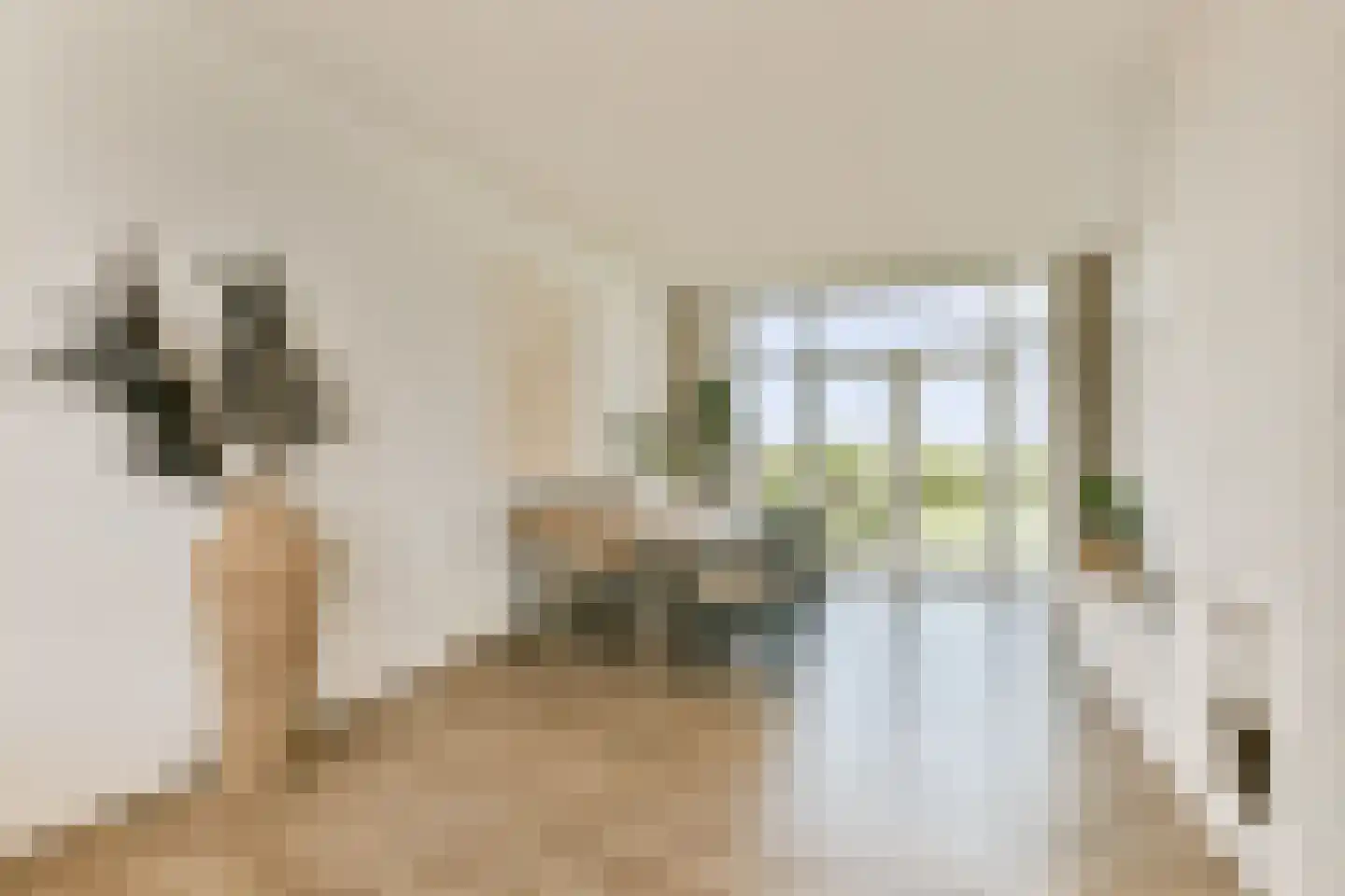 Trompstraat 9 Zandvoort thumbnail 13