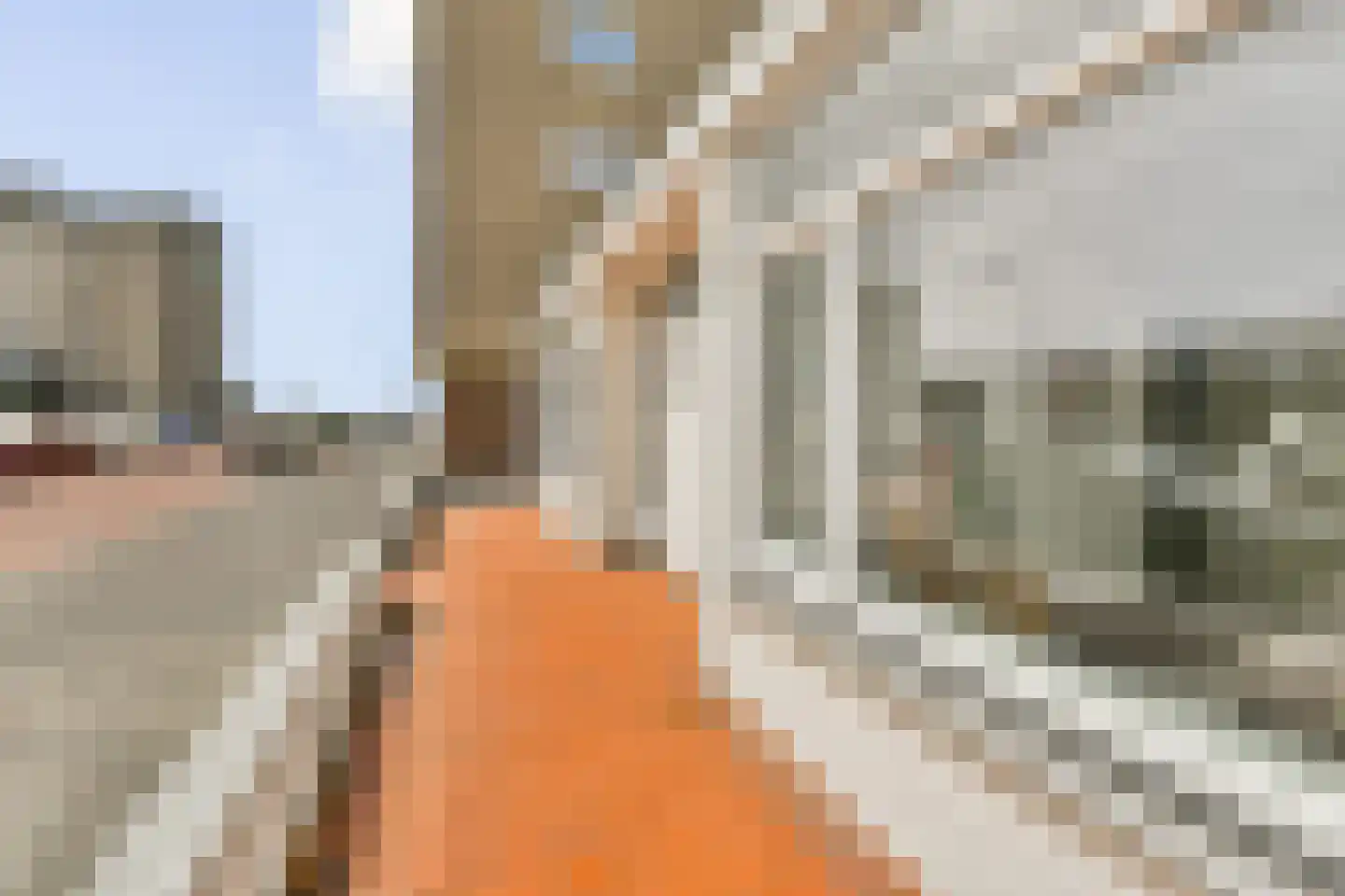 Trompstraat 9 Zandvoort thumbnail 6
