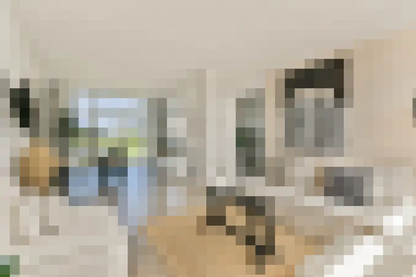 Trompstraat 9 Zandvoort thumbnail 8