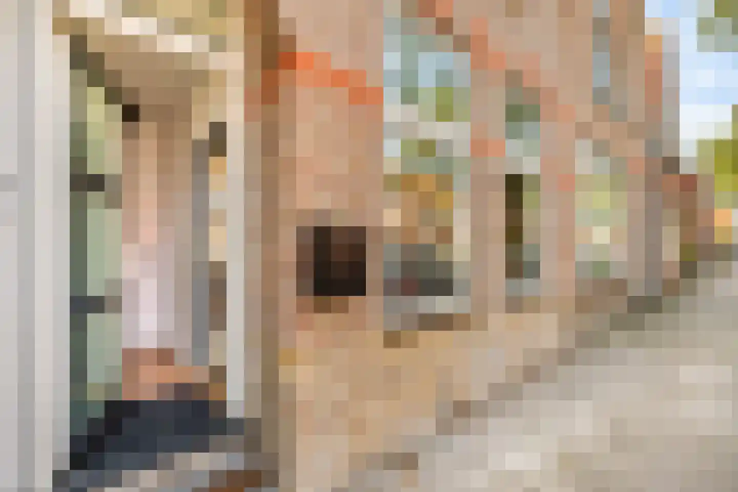 Trompstraat 93 IJmuiden thumbnail 9