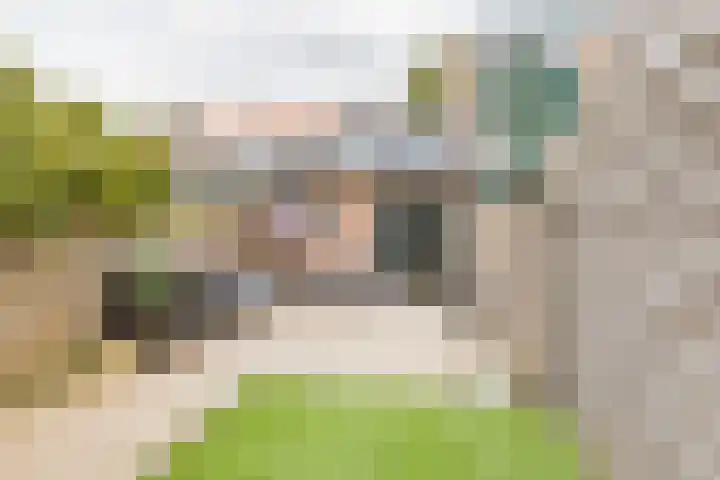 Trompstraat 97 IJmuiden thumbnail 22