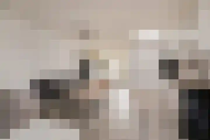 Trompstraat 97 IJmuiden thumbnail 4