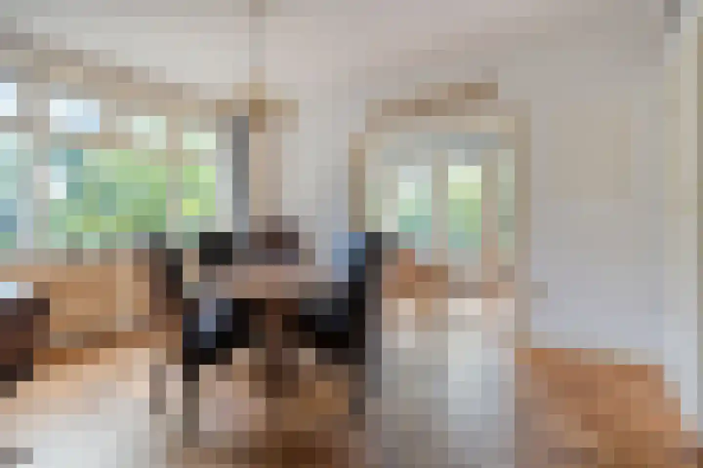 Trompweg 37 Nijverdal thumbnail 18