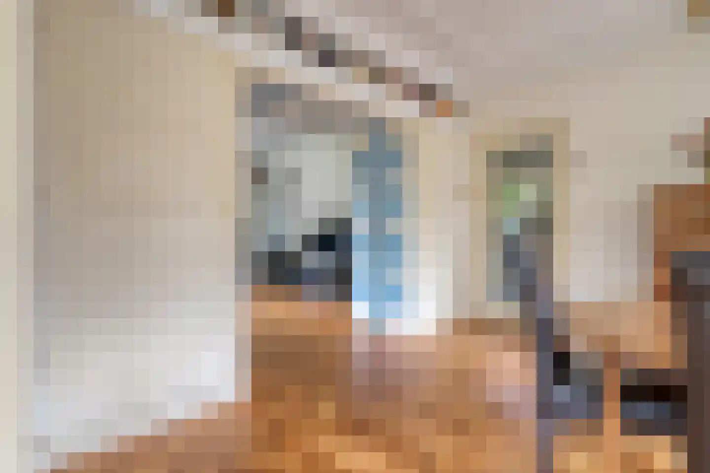 Trompweg 37 Nijverdal thumbnail 22