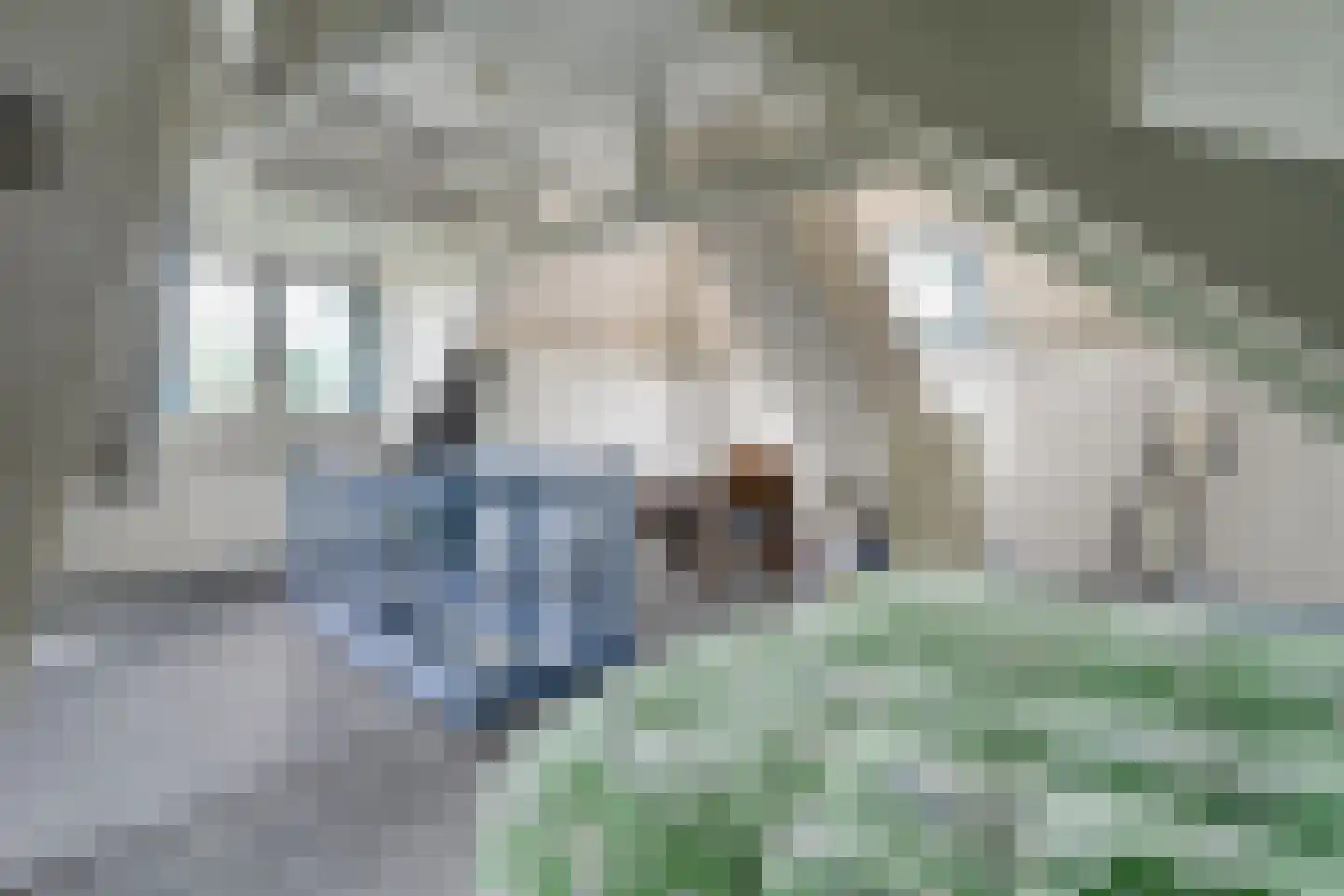 Trompweg 37 Nijverdal thumbnail 49