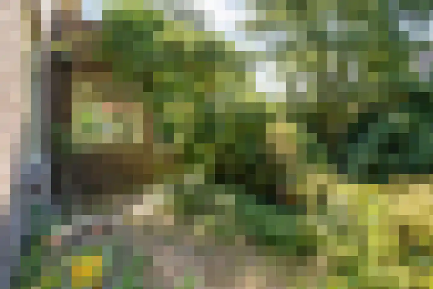 Trompweg 37 Nijverdal thumbnail 52