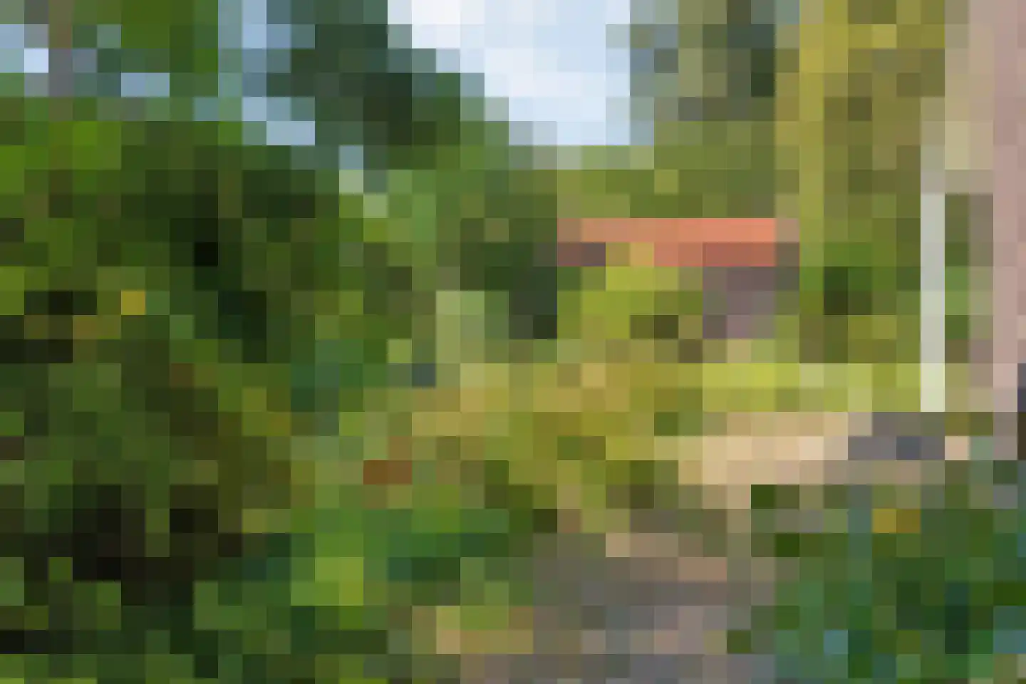 Trompweg 37 Nijverdal thumbnail 53