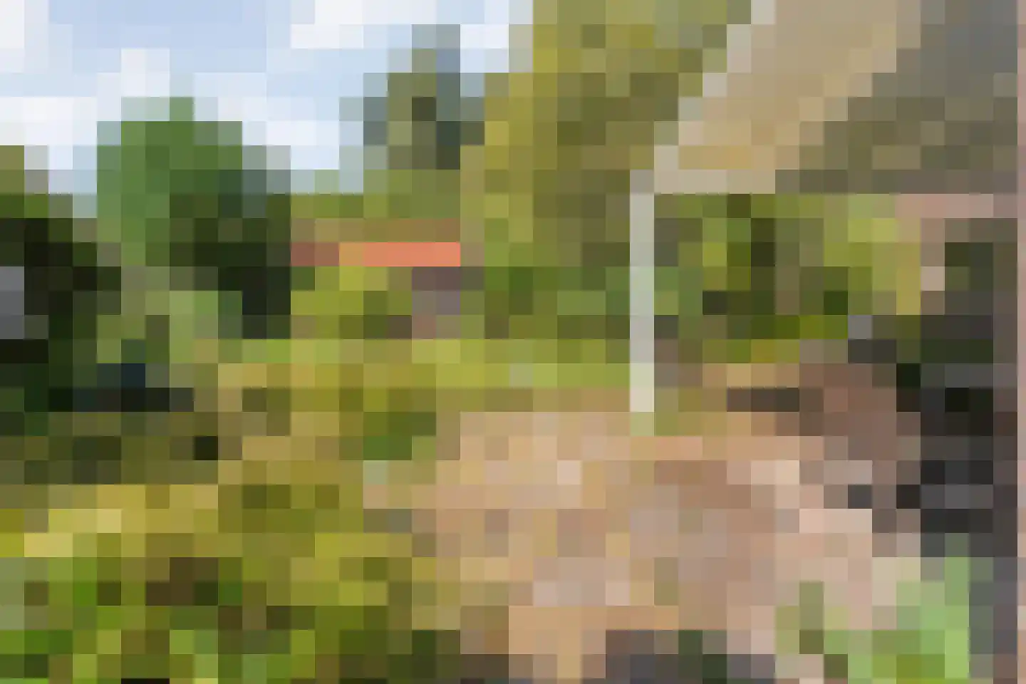 Trompweg 37 Nijverdal thumbnail 54