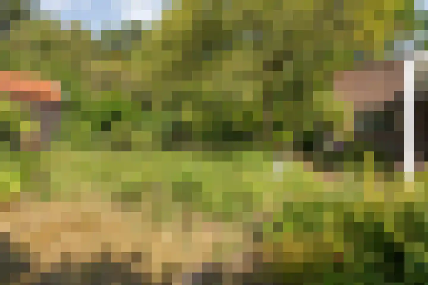 Trompweg 37 Nijverdal thumbnail 56