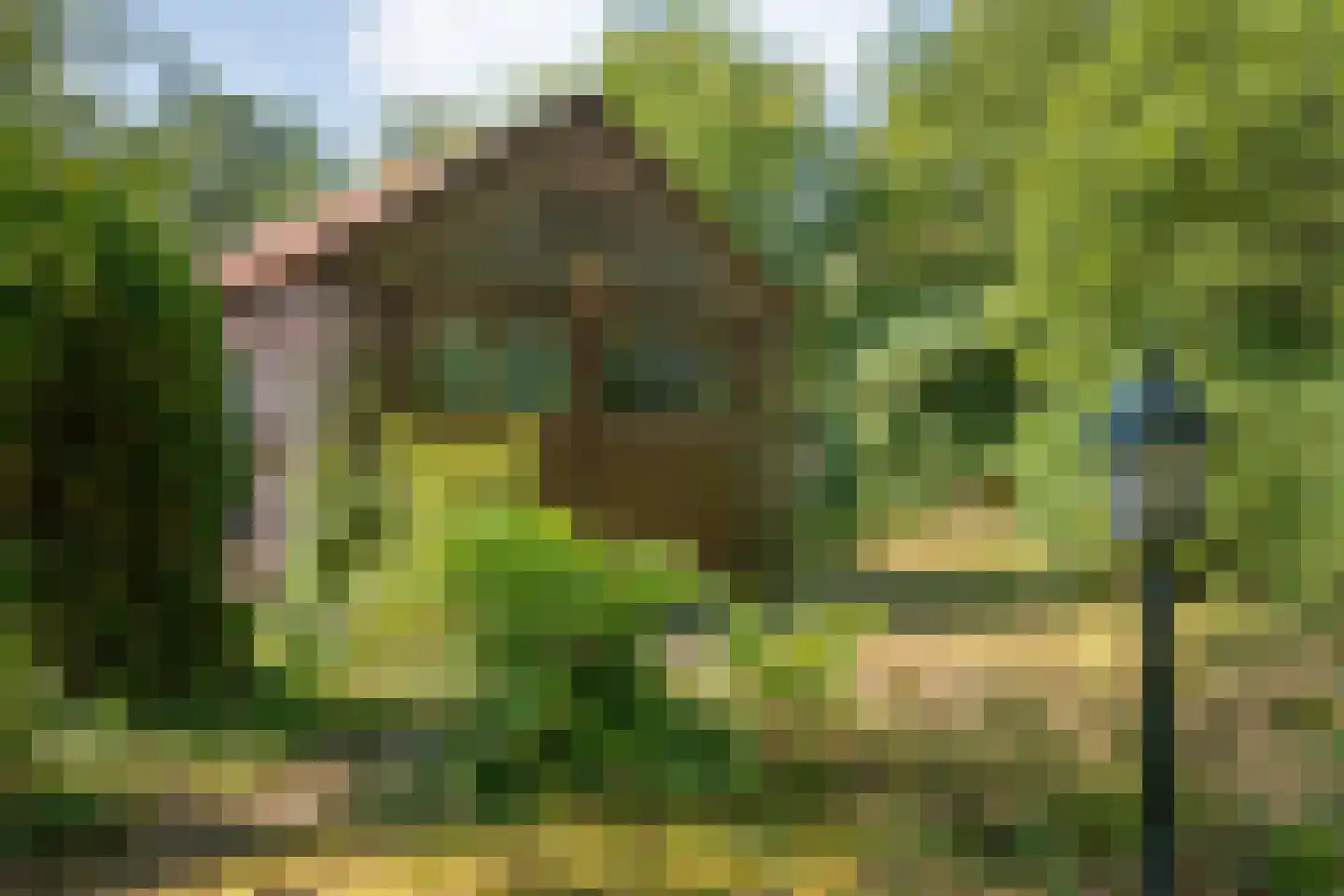 Trompweg 37 Nijverdal thumbnail 59
