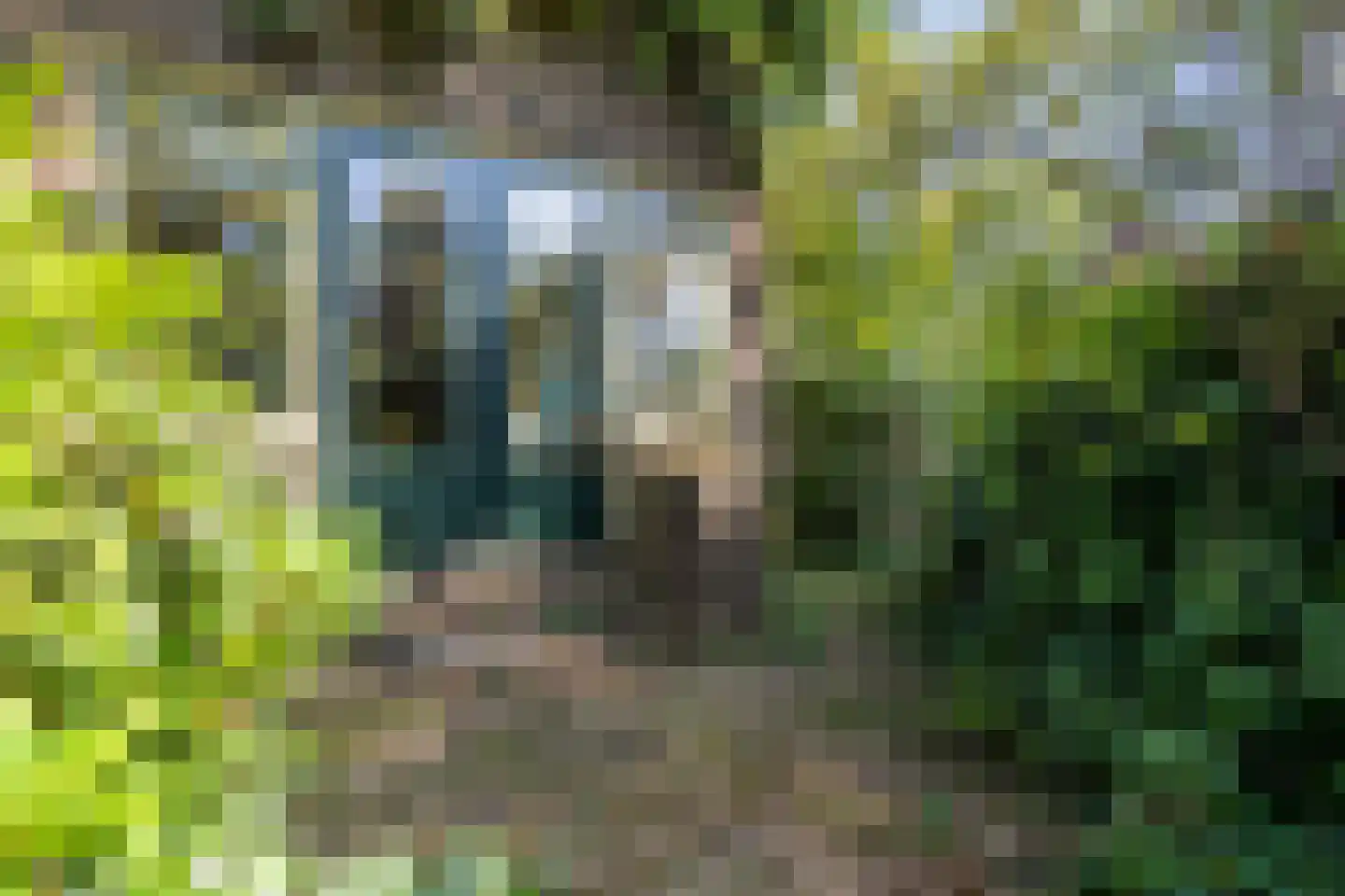 Trompweg 37 Nijverdal thumbnail 6