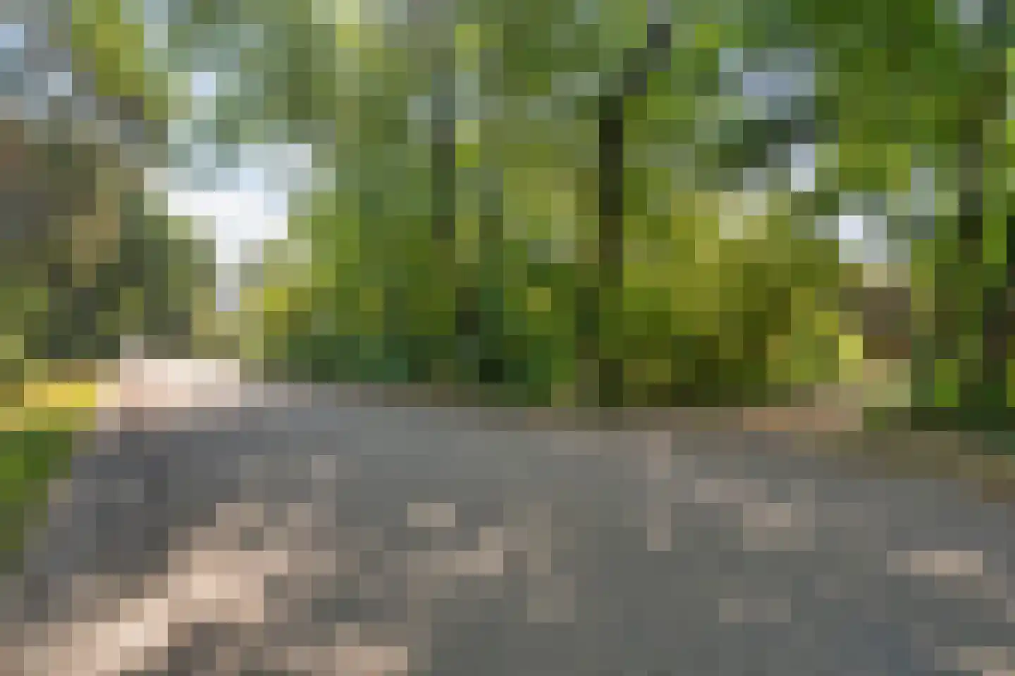 Trompweg 37 Nijverdal thumbnail 60