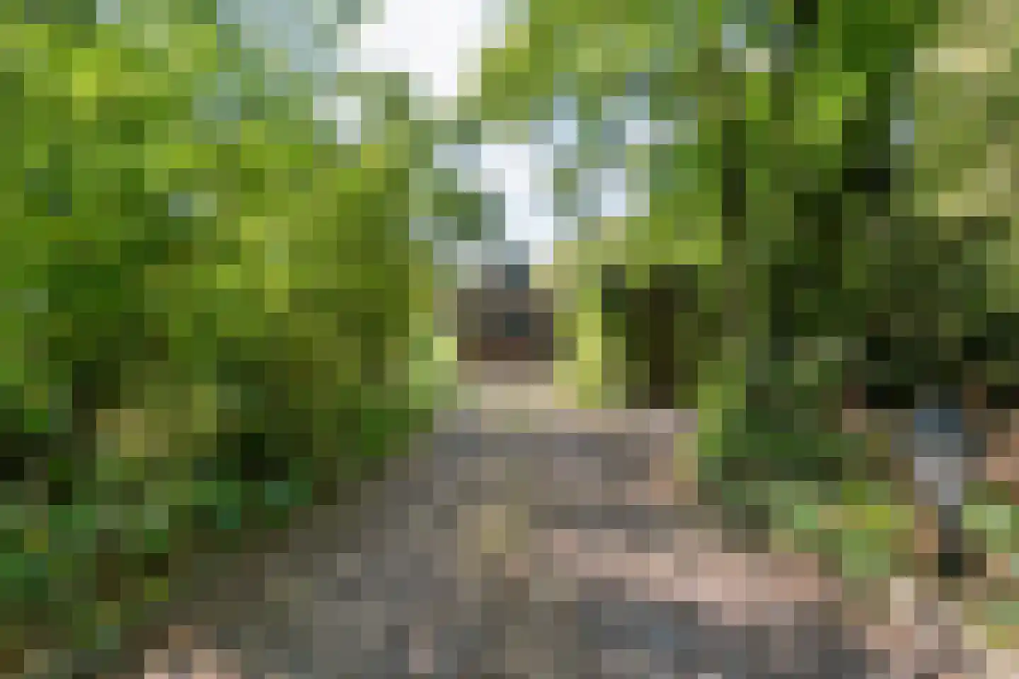 Trompweg 37 Nijverdal thumbnail 61
