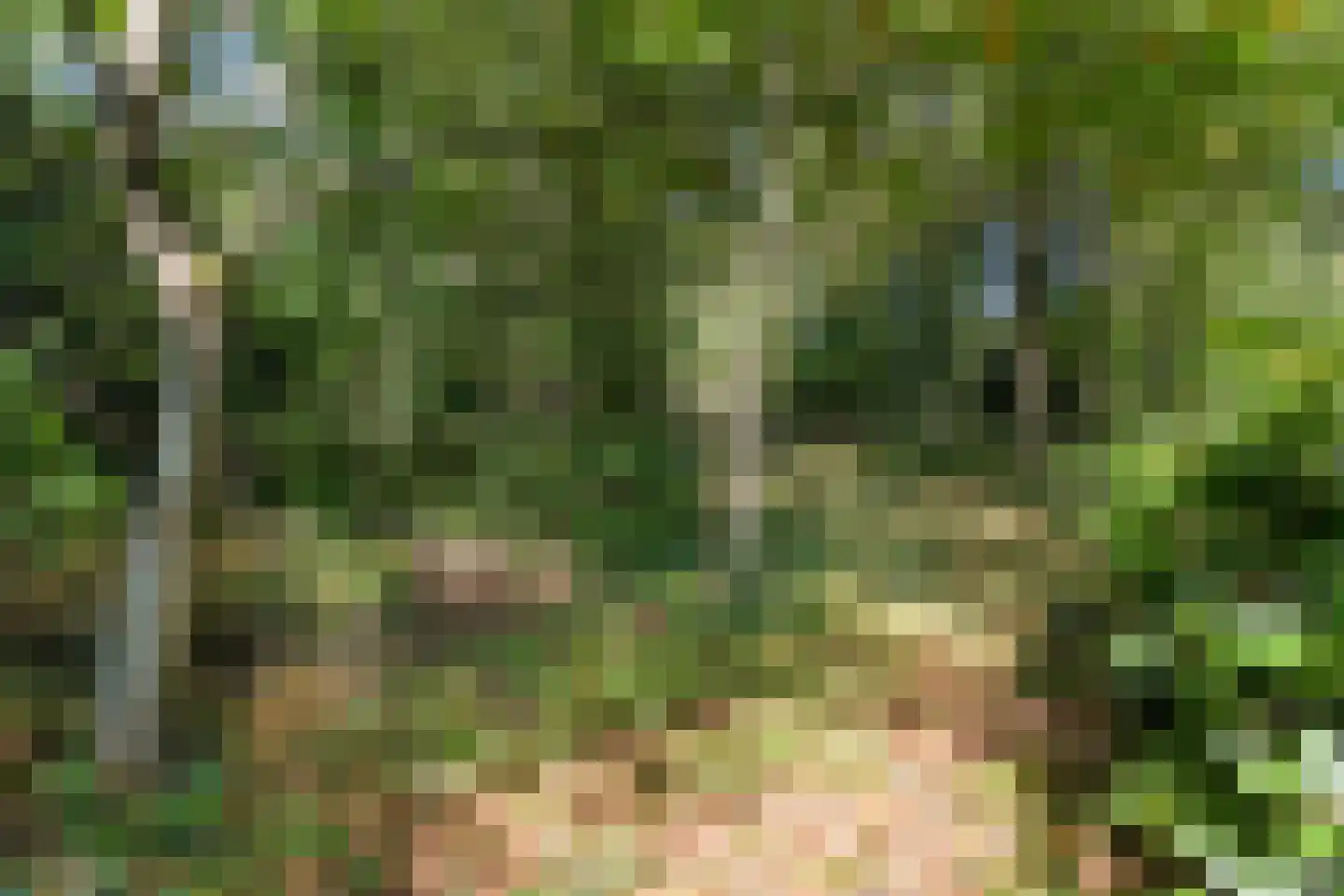 Trompweg 37 Nijverdal thumbnail 62