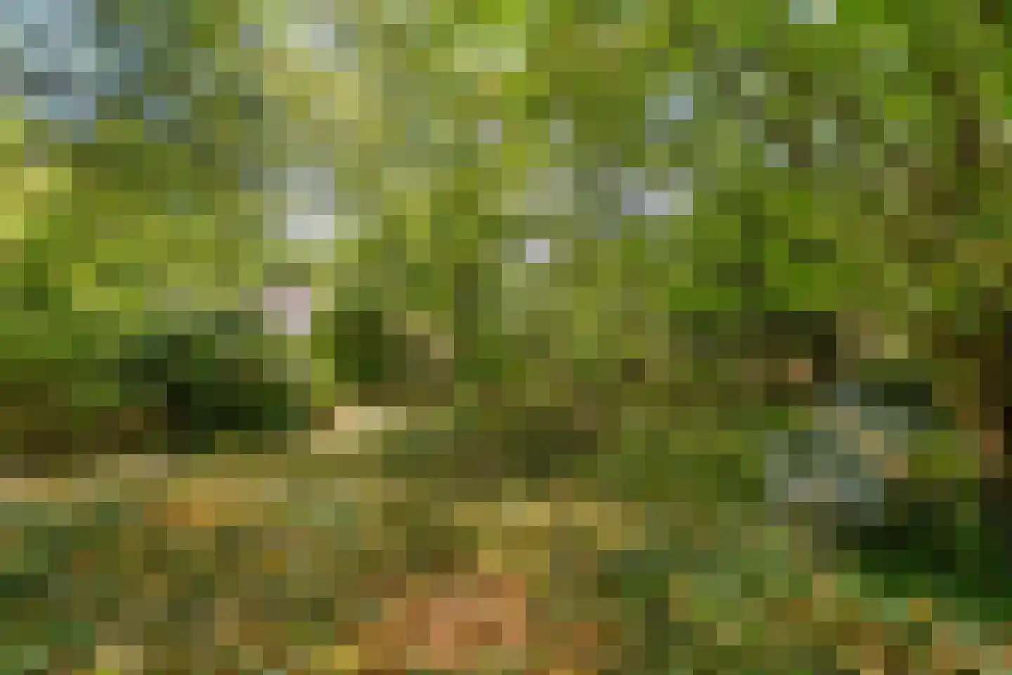 Trompweg 37 Nijverdal thumbnail 63