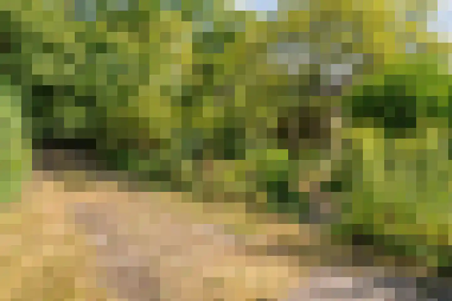 Trompweg 37 Nijverdal thumbnail 64