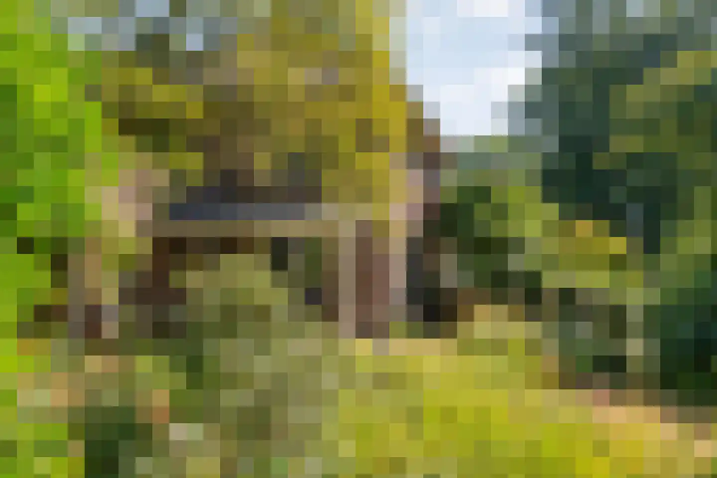 Trompweg 37 Nijverdal thumbnail 65