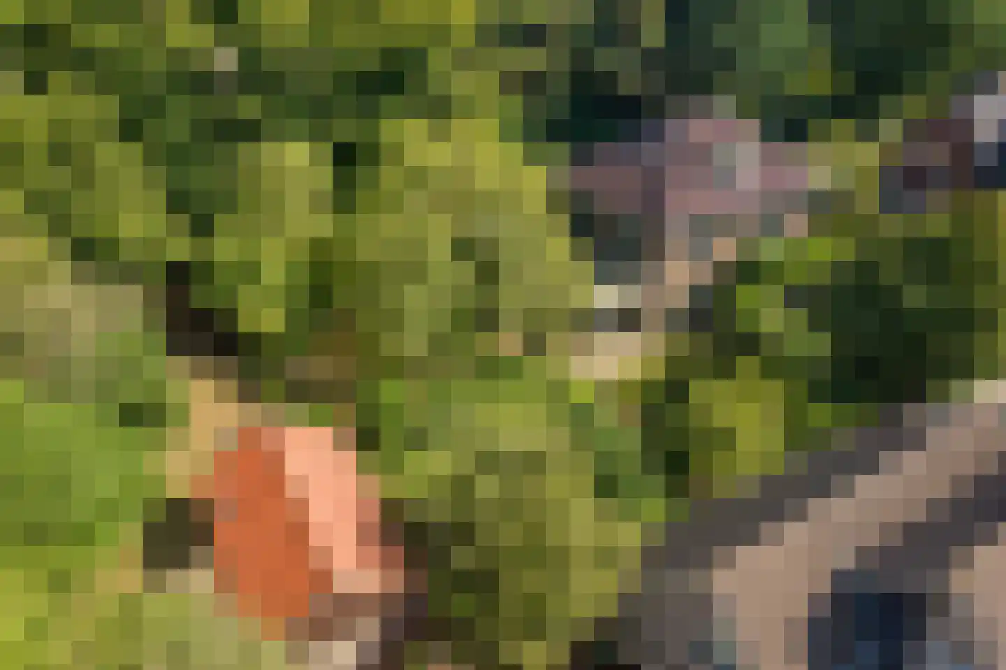 Trompweg 37 Nijverdal thumbnail 67