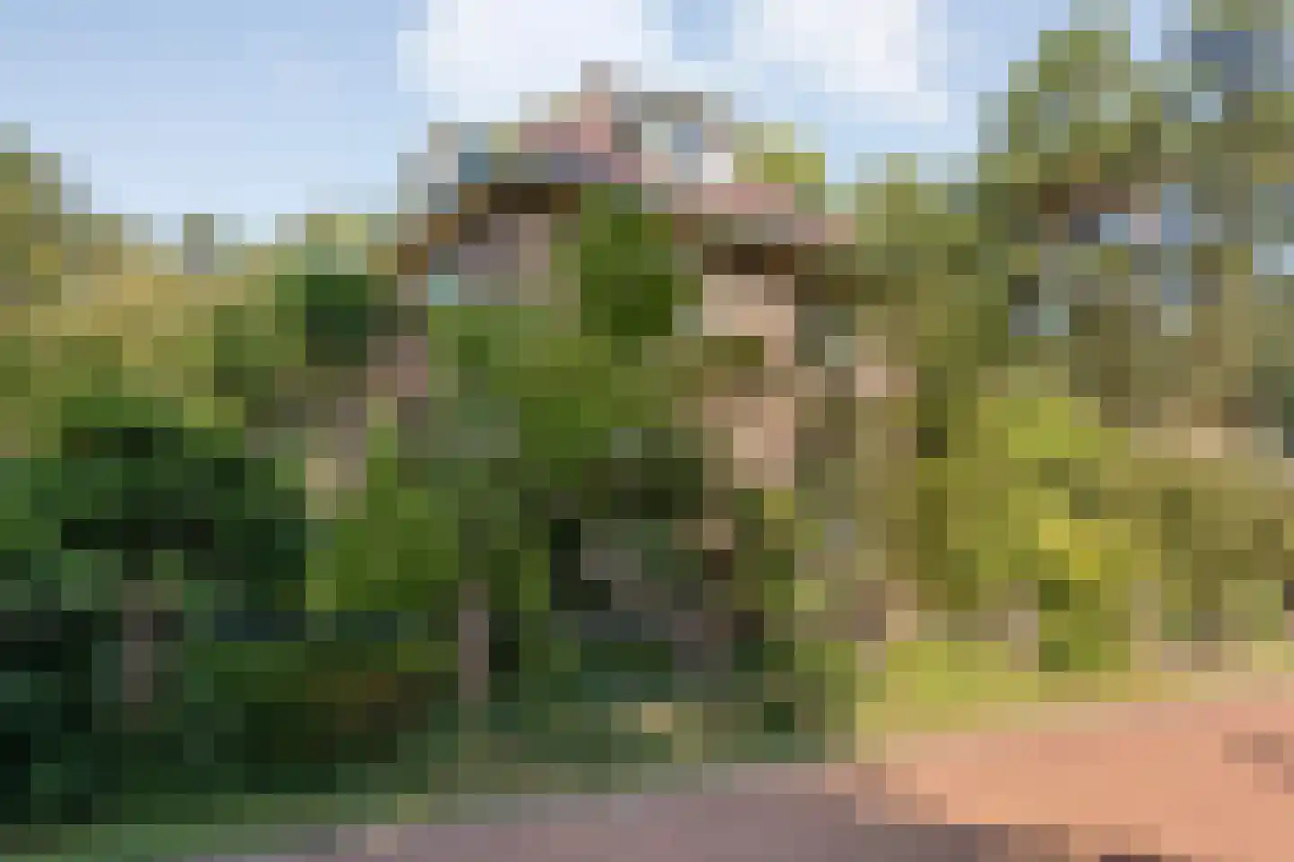 Trompweg 37 Nijverdal thumbnail 69
