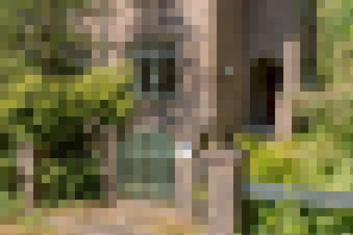 Trompweg 37 Nijverdal thumbnail 7