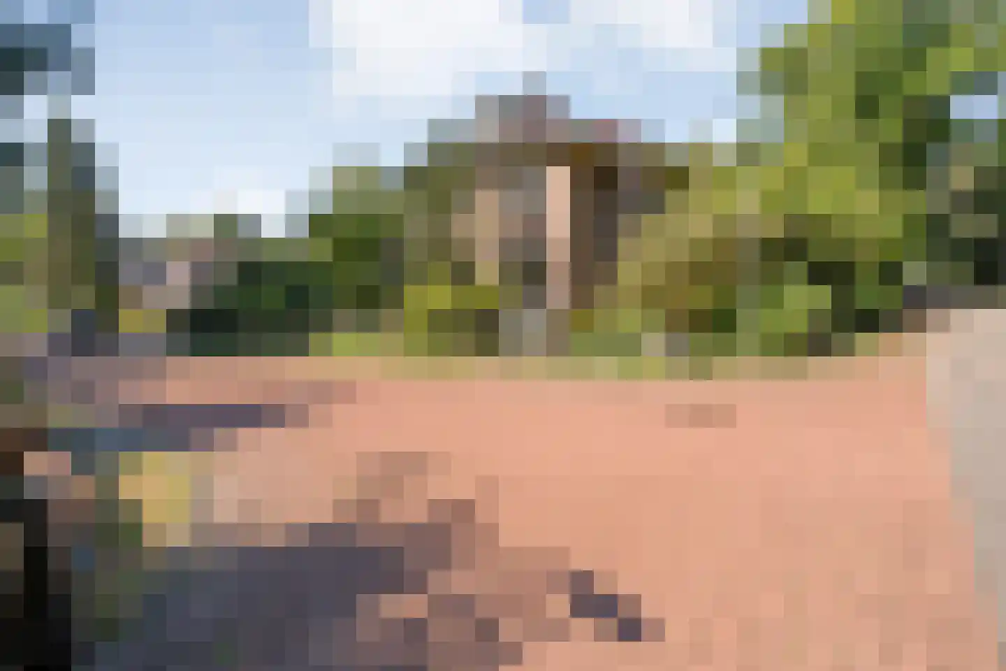 Trompweg 37 Nijverdal thumbnail 71