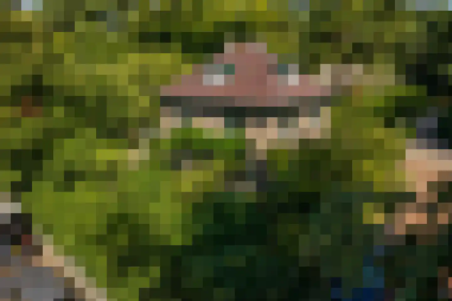 Trompweg 37 Nijverdal thumbnail 73