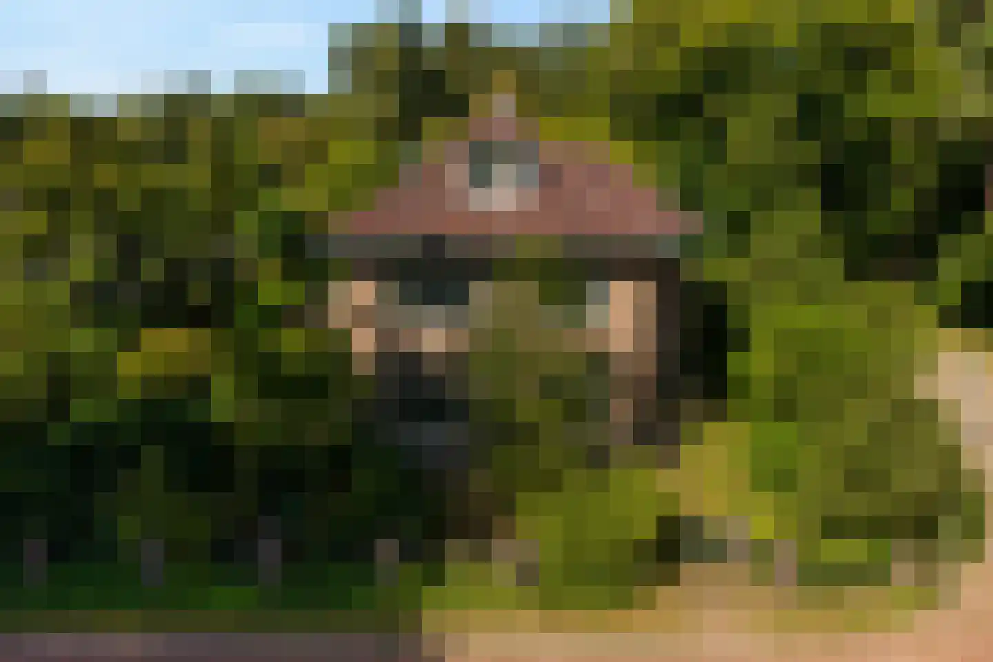 Trompweg 37 Nijverdal thumbnail 74