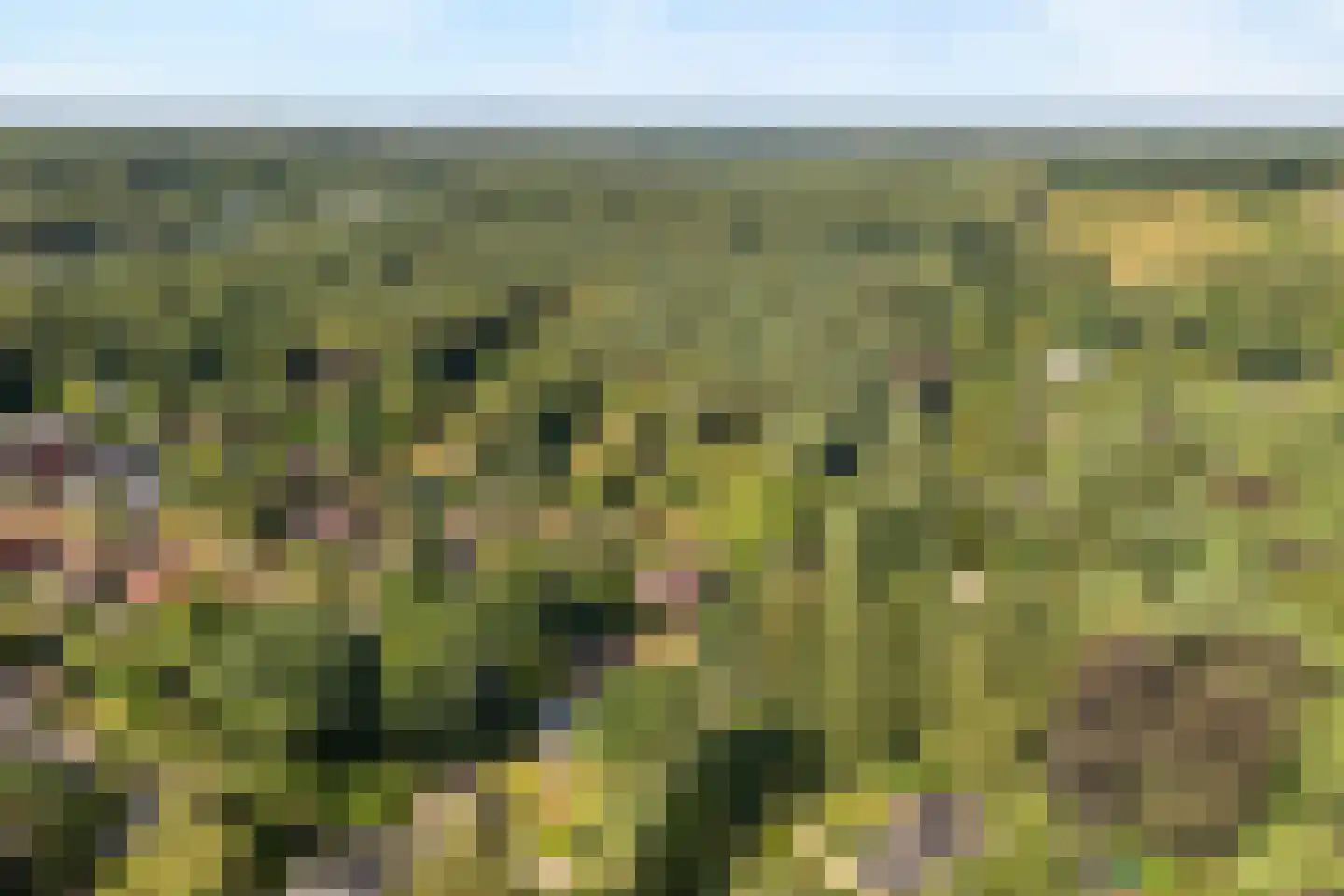 Trompweg 37 Nijverdal thumbnail 75