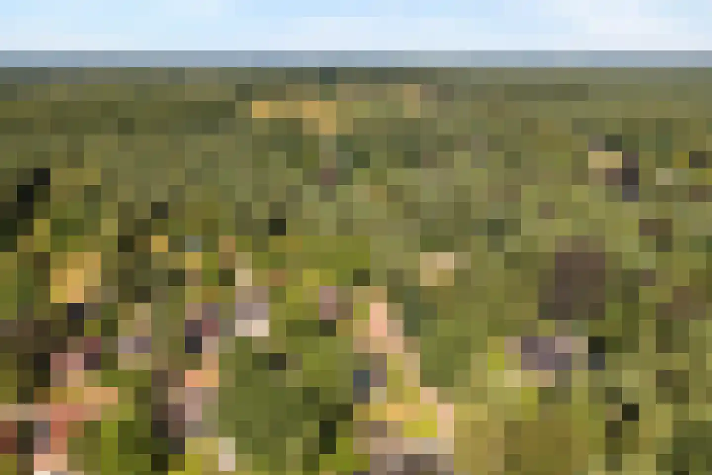 Trompweg 37 Nijverdal thumbnail 76