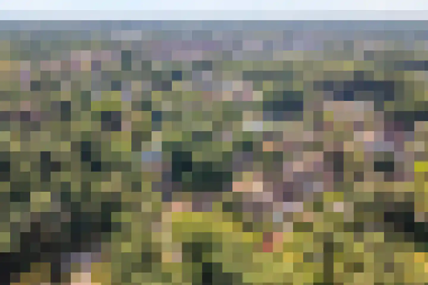 Trompweg 37 Nijverdal thumbnail 77