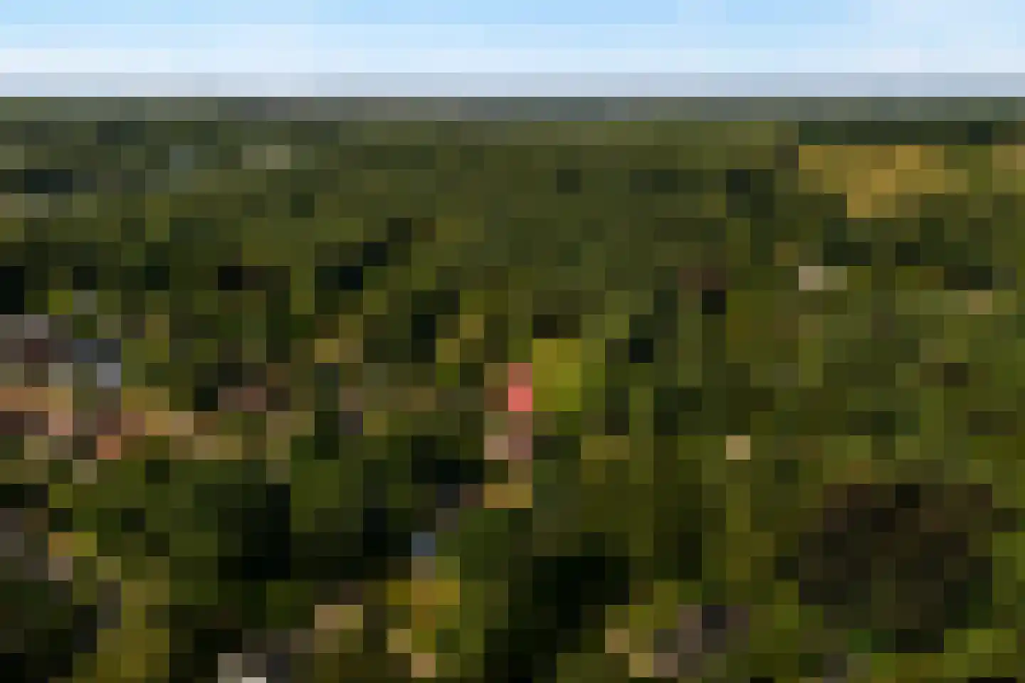 Trompweg 37 Nijverdal thumbnail 78