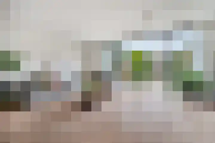 Trompweg 8 Voorschoten thumbnail 10
