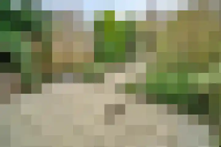 Trompweg 8 Voorschoten thumbnail 13