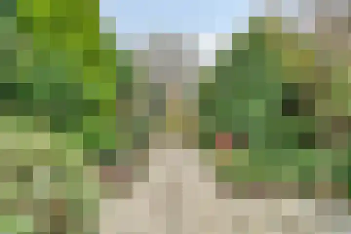 Trompweg 8 Voorschoten thumbnail 14