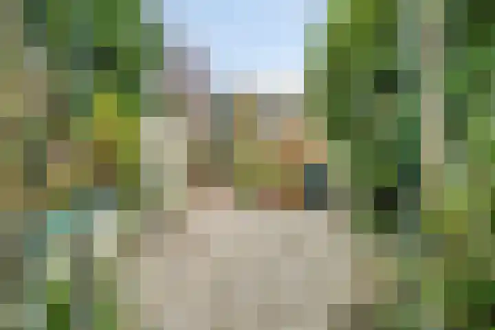 Trompweg 8 Voorschoten thumbnail 15