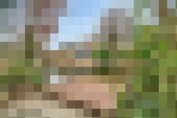 Trompweg 8 Voorschoten thumbnail 16