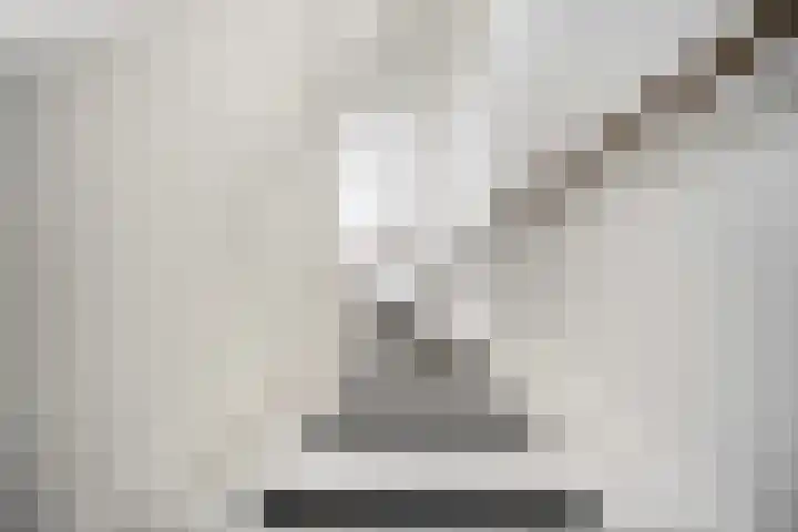 Trompweg 8 Voorschoten thumbnail 35