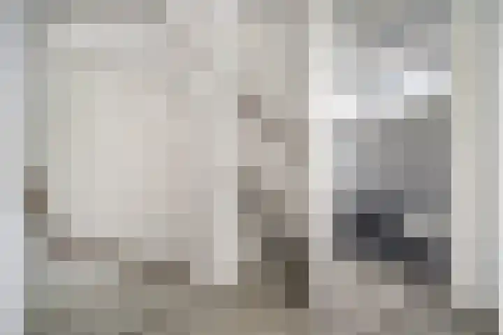 Trompweg 8 Voorschoten thumbnail 36