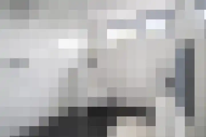 Trompweg 8 Voorschoten thumbnail 37