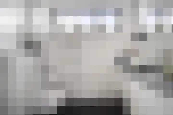 Trompweg 8 Voorschoten thumbnail 38