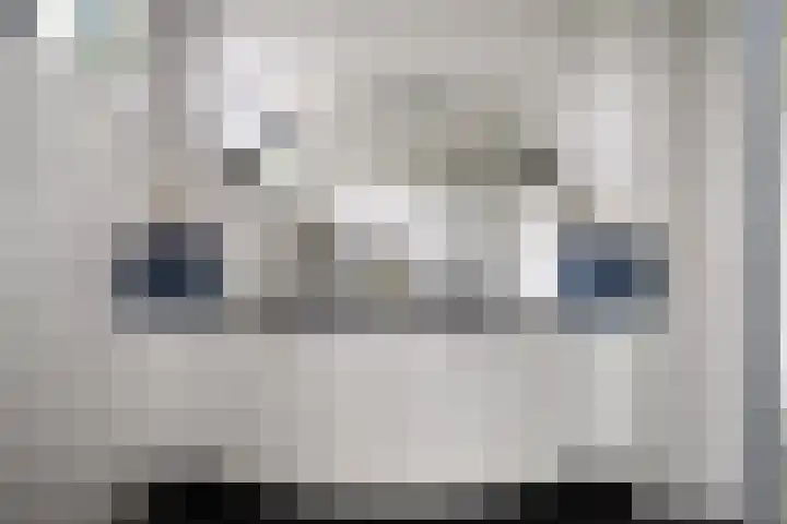 Trompweg 8 Voorschoten thumbnail 39