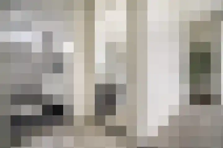 Trompweg 8 Voorschoten thumbnail 41