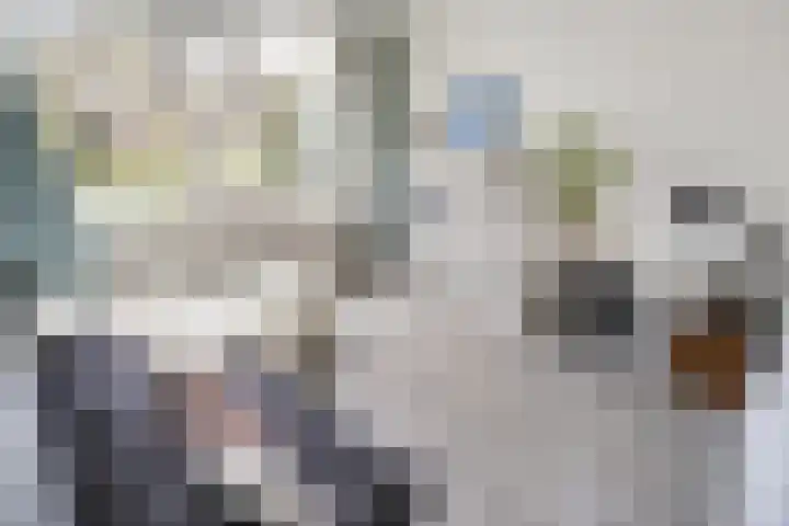 Trompweg 8 Voorschoten thumbnail 42