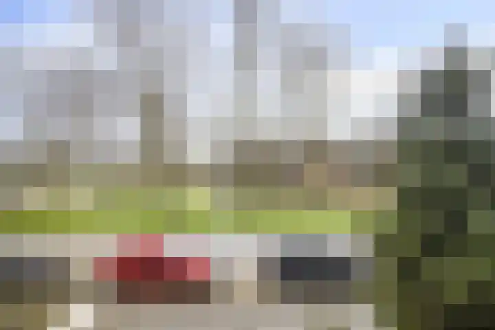 Trompweg 8 Voorschoten thumbnail 43