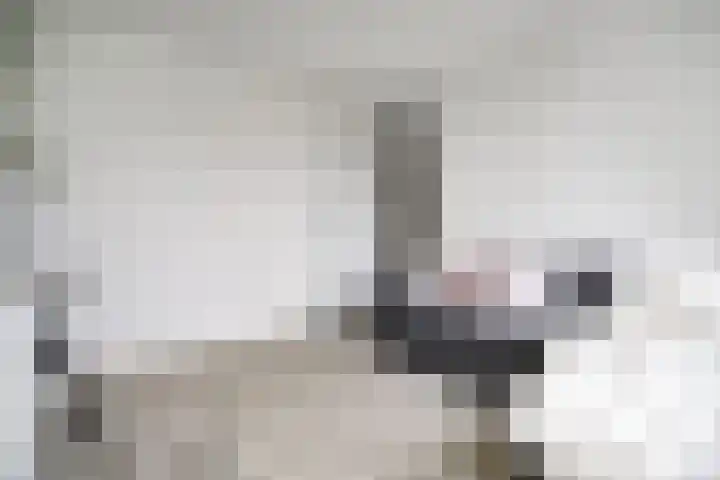 Trompweg 8 Voorschoten thumbnail 44